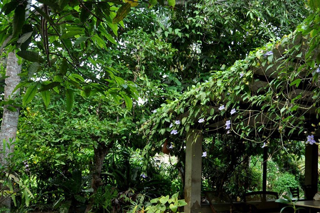 Green Corridor - Аханґама Екстер'єр фото